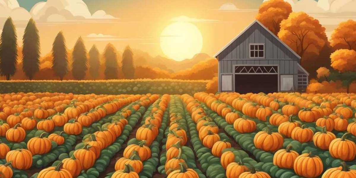 Discover Kustermans: Your Local Pumpkin Farm Adventure