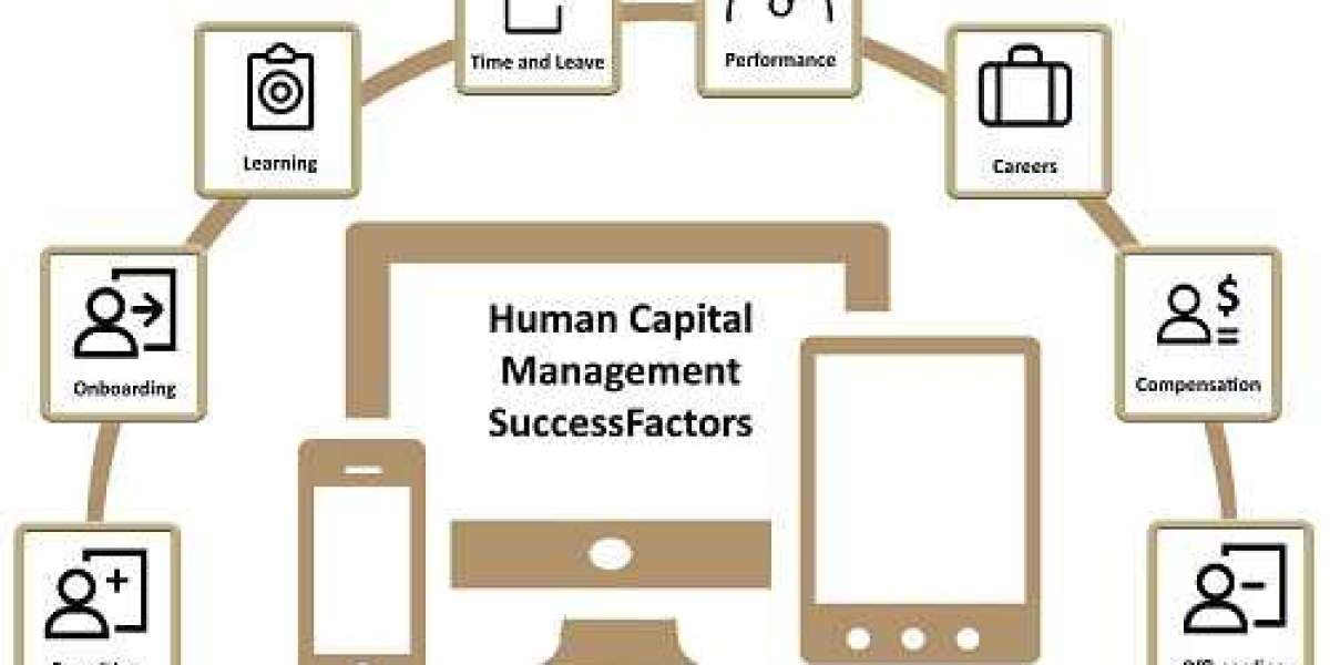 Human Capital Management Market Size, Share | Industry Report [2024-2032]