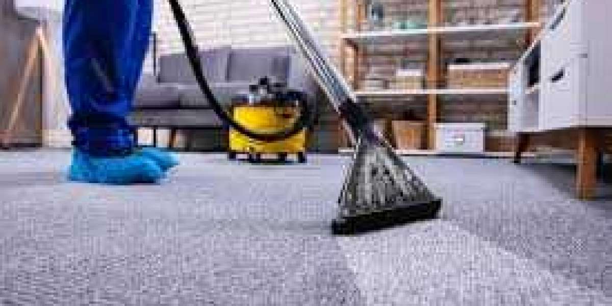 The Connection Between Carpet Cleaning and Better Air Quality