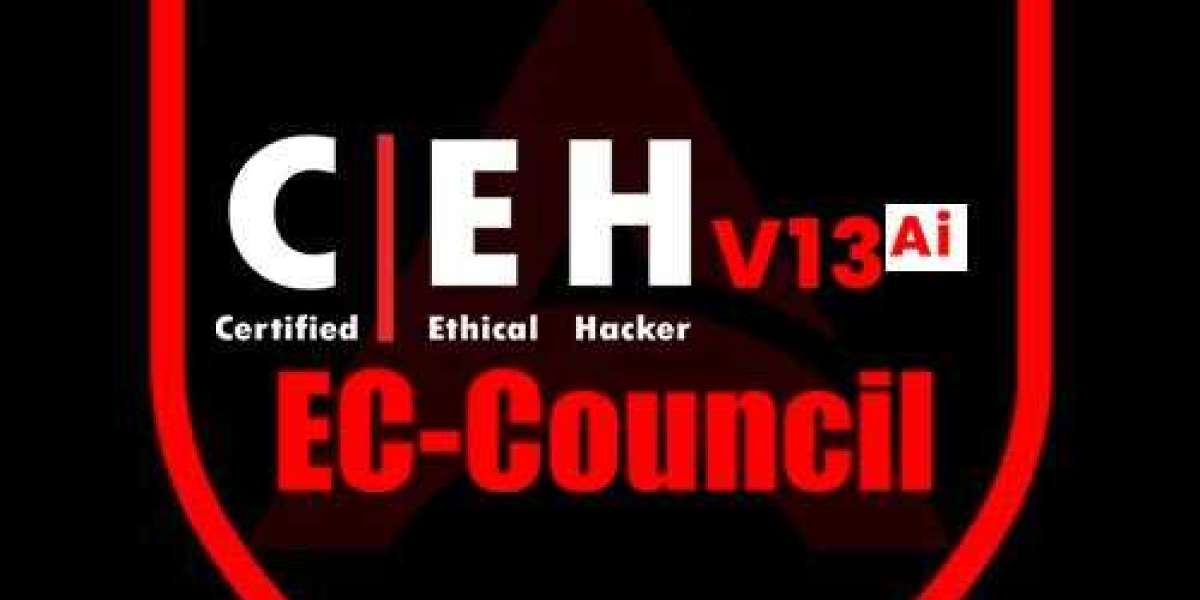 Top CEH v13 AI Training Institute for Advanced Hacking Techniques