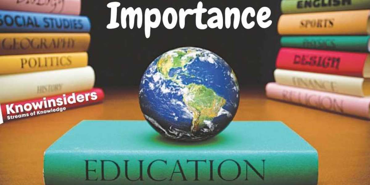 What is the US international education strategy?