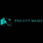 pro city Maids Profile Picture