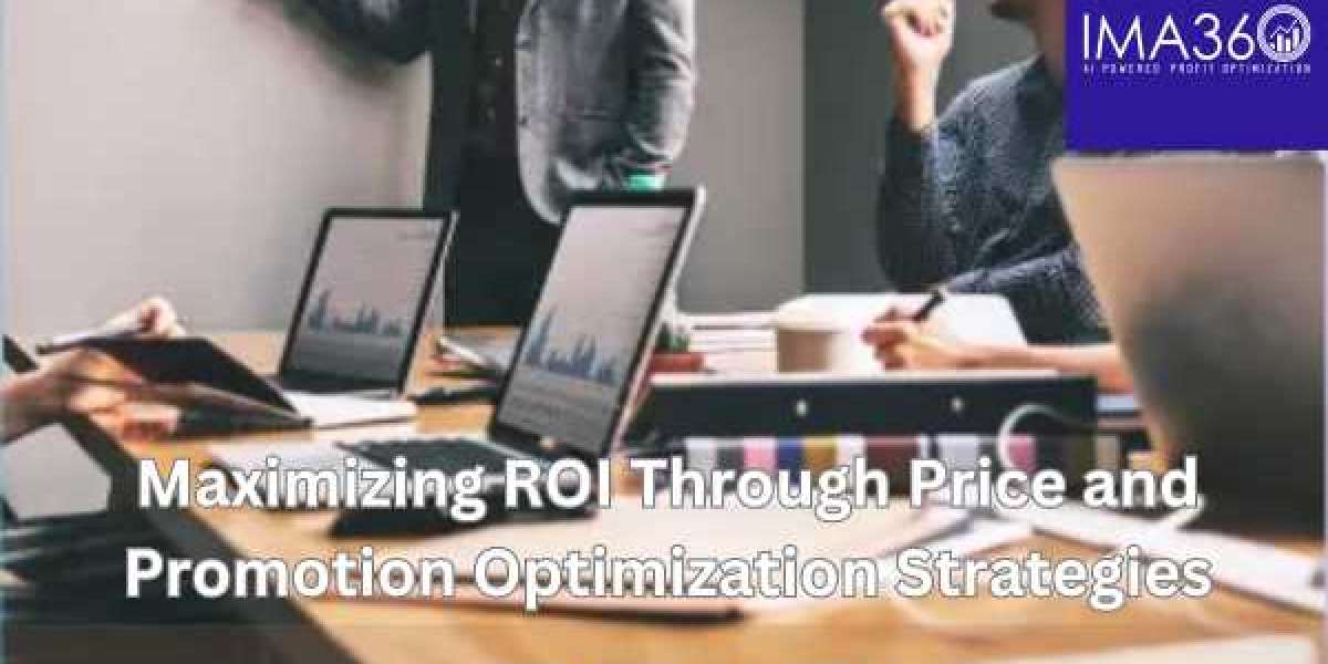 Maximizing ROI Through Price and Promotion Optimization Strategies